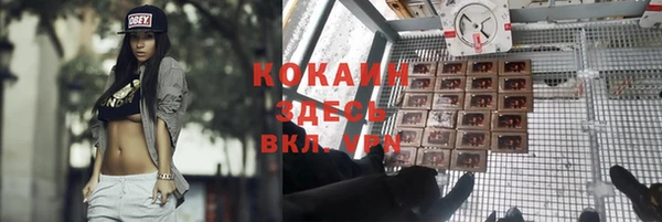 прущие грибы Красноперекопск